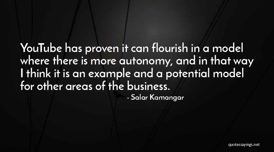 Potential In Business Quotes By Salar Kamangar