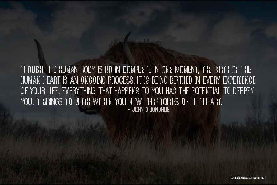 Potential In Life Quotes By John O'Donohue Potential In Life Quotes By John O'Donohue