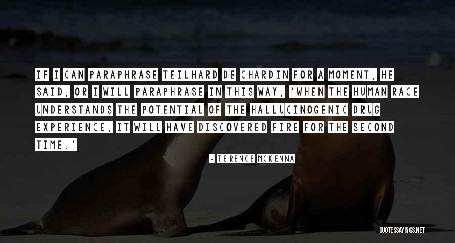 Potential Of The Moment Quotes By Terence McKenna Potential Of The Moment Quotes By Terence McKenna