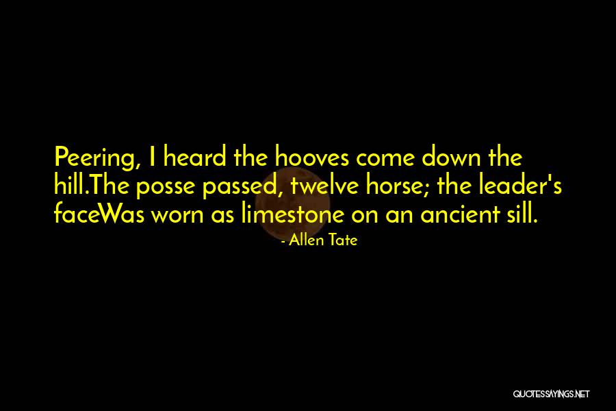Potenzialentfaltung Quotes By Allen Tate Potenzialentfaltung Quotes By Allen Tate