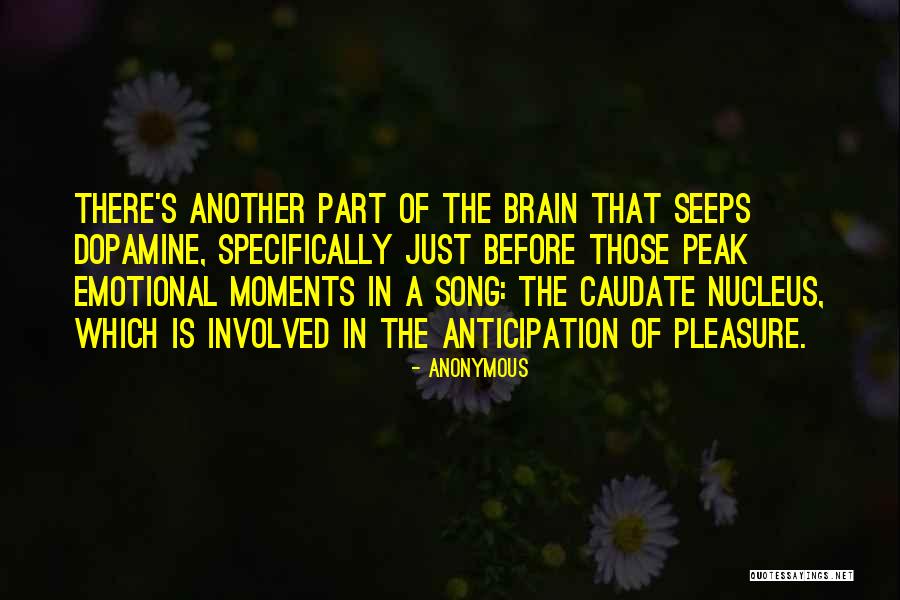 Potenzialita Quotes By Anonymous Potenzialita Quotes By Anonymous