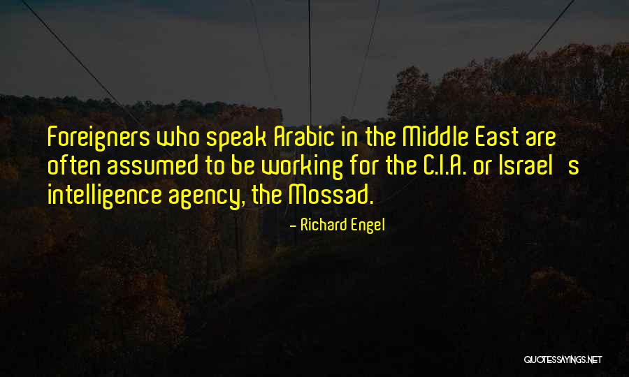 Potestivo And Associates Quotes By Richard Engel