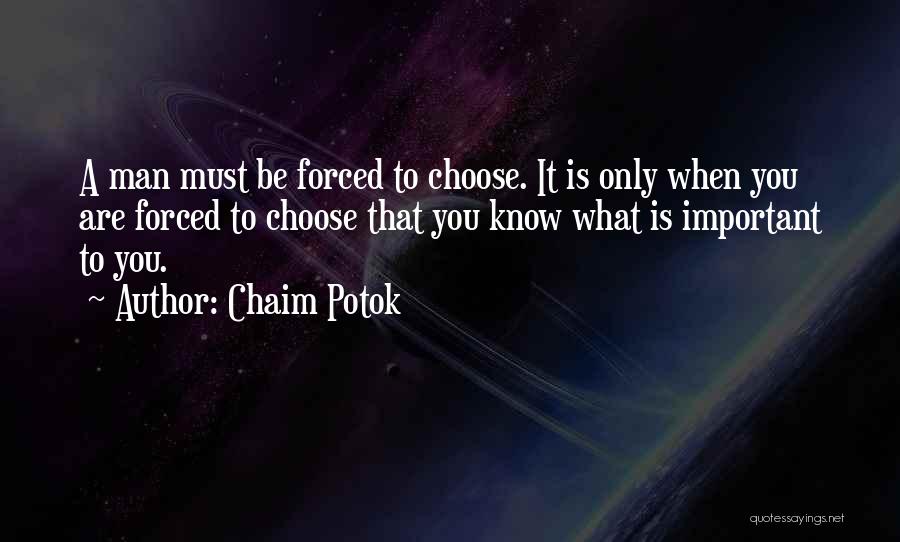 Potok Chaim Quotes By Chaim Potok