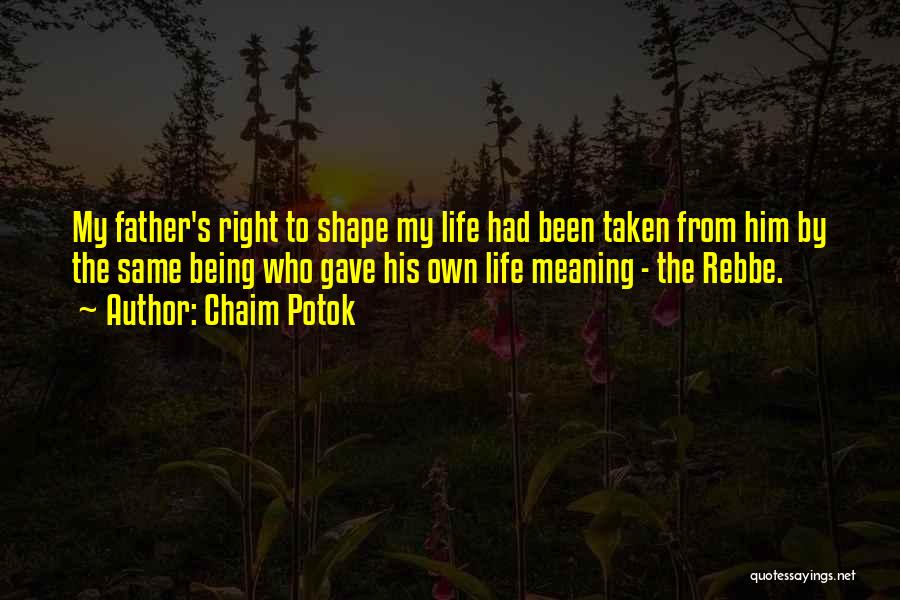 Potok Chaim Quotes By Chaim Potok