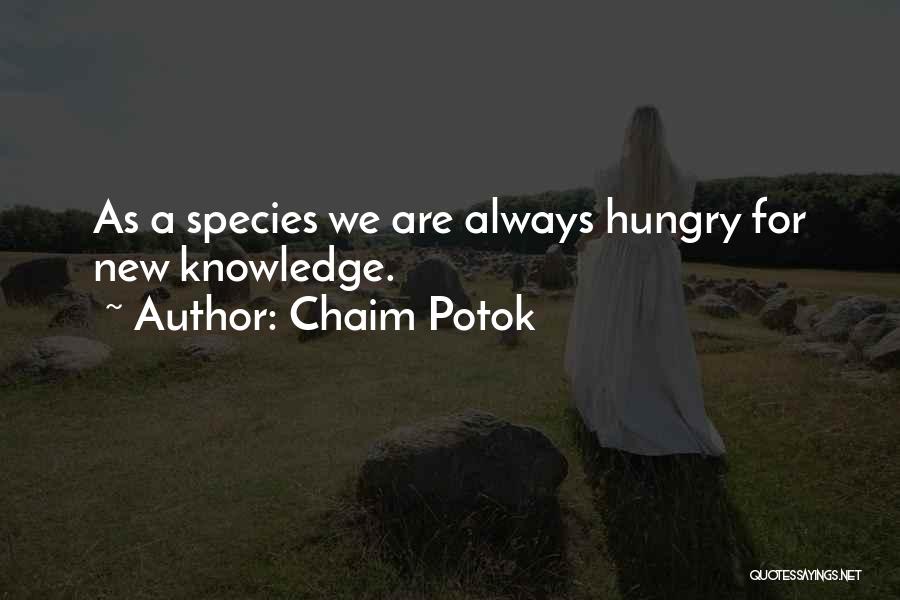 Potok Chaim Quotes By Chaim Potok