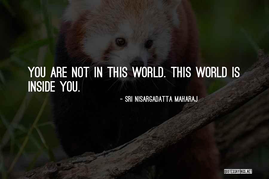Potomacand Quotes By Sri Nisargadatta Maharaj Potomacand Quotes By Sri Nisargadatta Maharaj