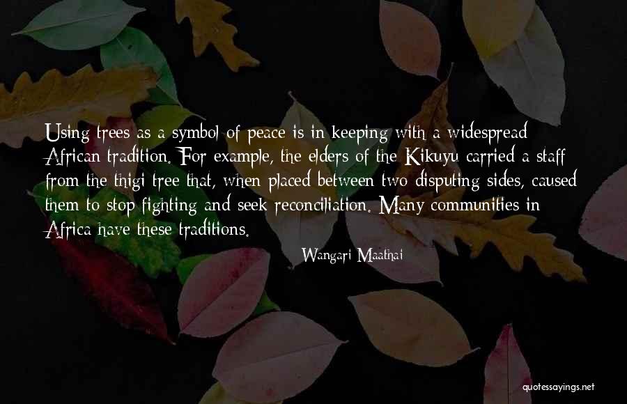 Potranca Quotes By Wangari Maathai Potranca Quotes By Wangari Maathai