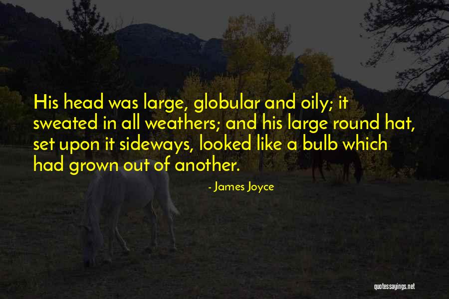 Potrebne Specifikacije Quotes By James Joyce Potrebne Specifikacije Quotes By James Joyce