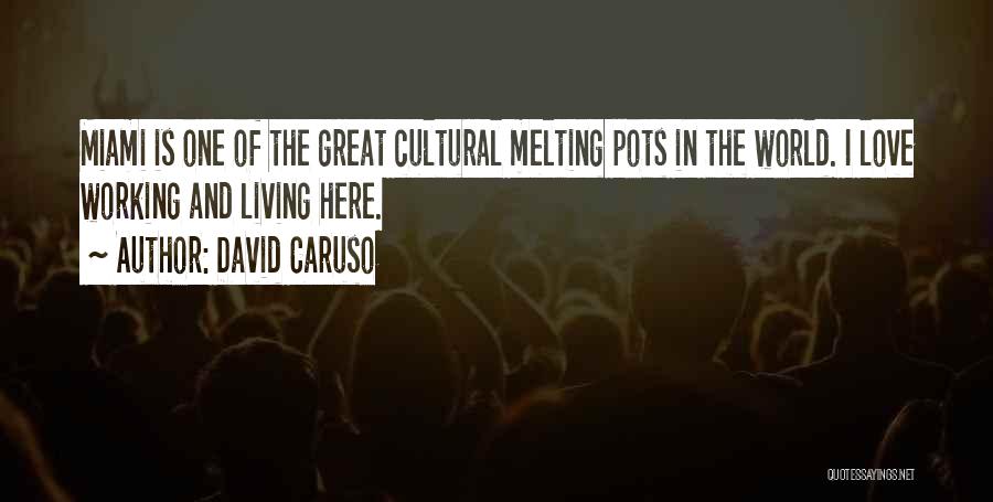 Pots Quotes By David Caruso