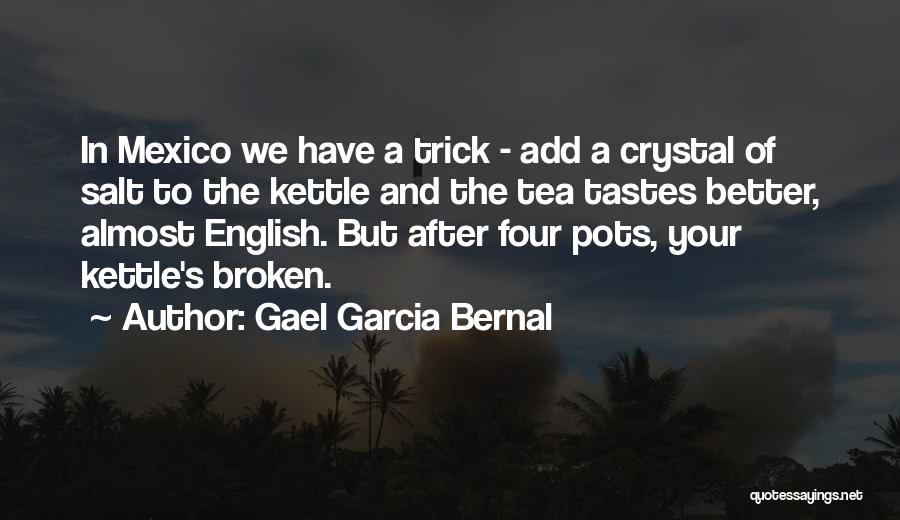 Pots Quotes By Gael Garcia Bernal