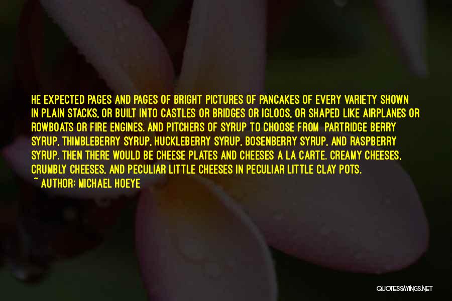 Pots Quotes By Michael Hoeye