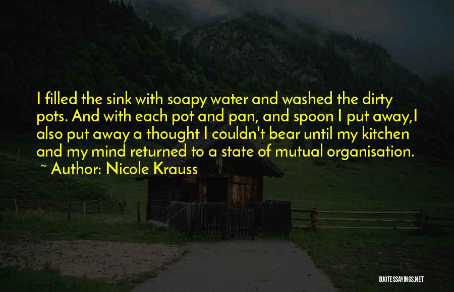 Pots Quotes By Nicole Krauss