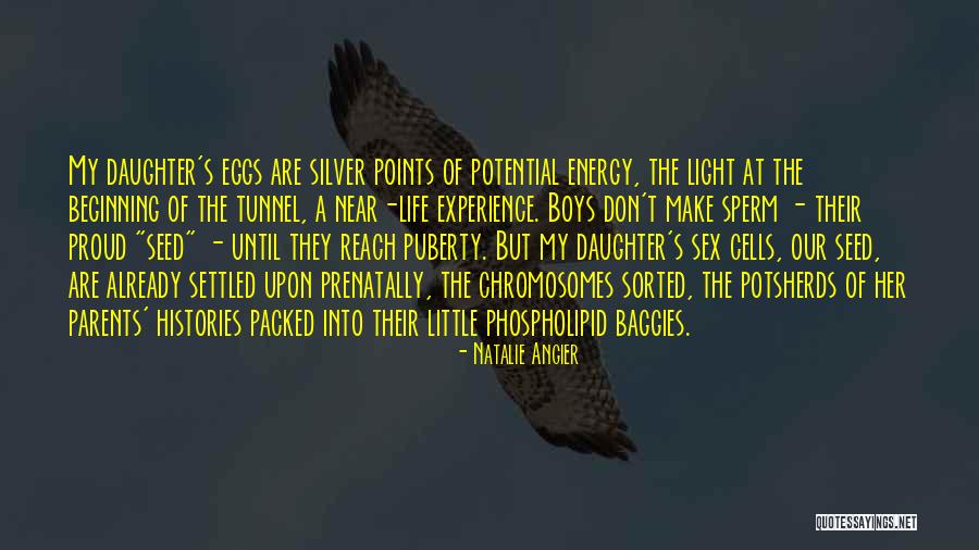 Potsherds Quotes By Natalie Angier Potsherds Quotes By Natalie Angier