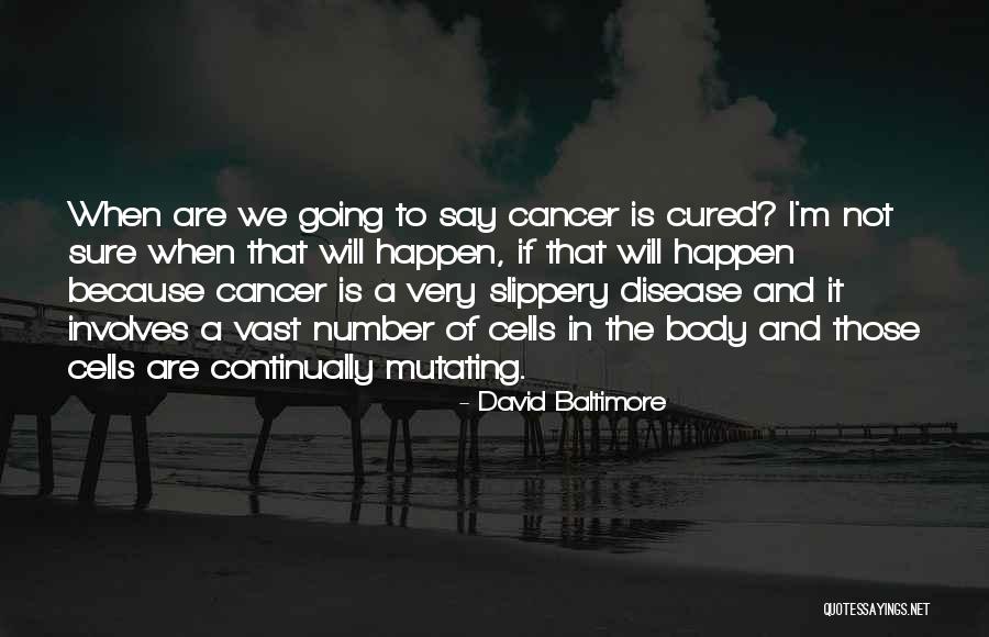 Pouf Hxh Quotes By David Baltimore Pouf Hxh Quotes By David Baltimore