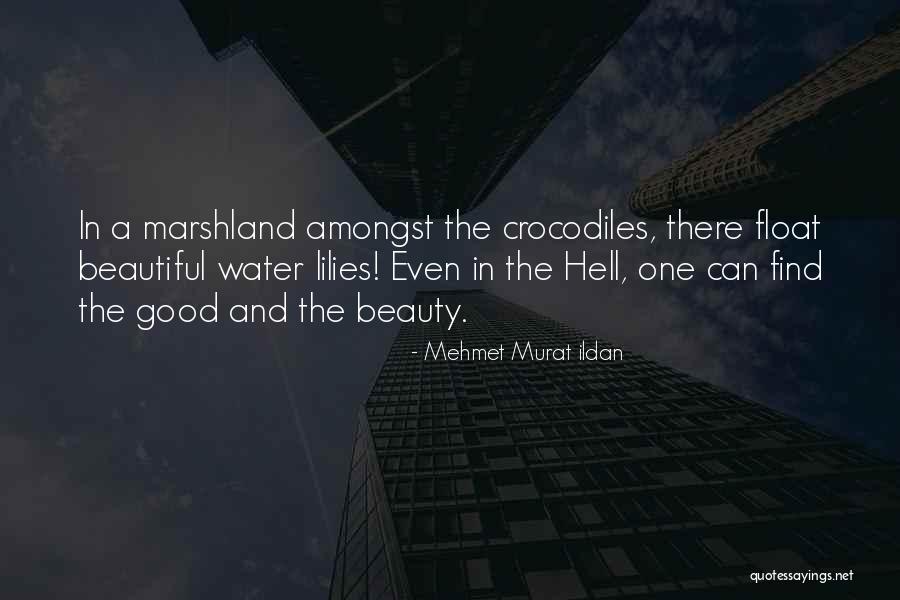 Poulain Le Quotes By Mehmet Murat Ildan Poulain Le Quotes By Mehmet Murat Ildan