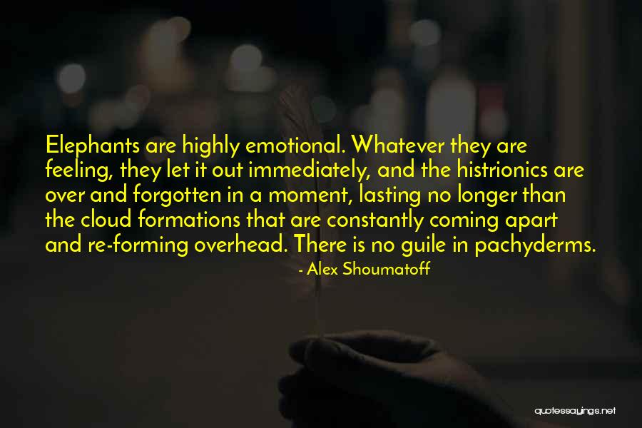 Poulakis Citroen Quotes By Alex Shoumatoff Poulakis Citroen Quotes By Alex Shoumatoff