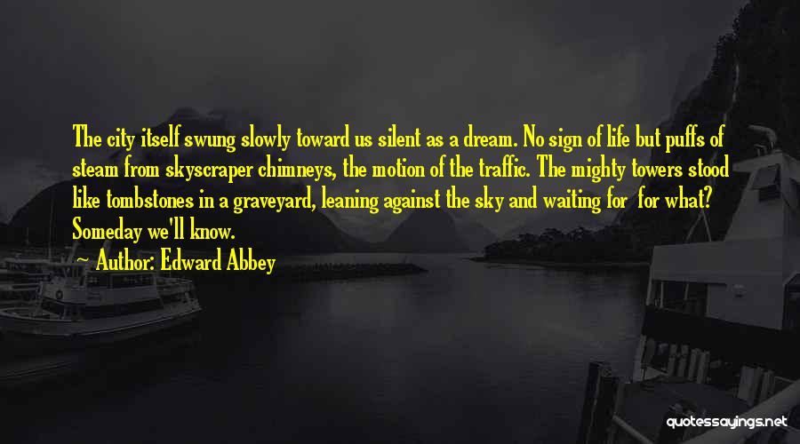 Pouliquen 1999 Quotes By Edward Abbey