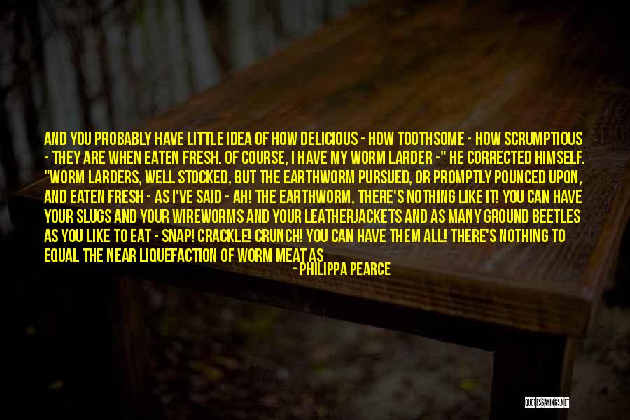 Pounced Quotes By Philippa Pearce Pounced Quotes By Philippa Pearce