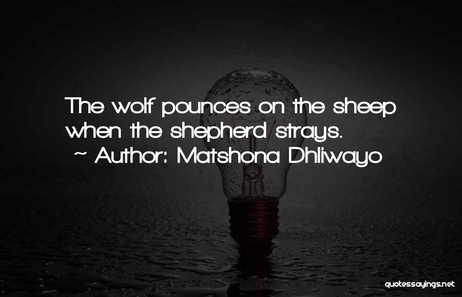 Pounces On You Quotes By Matshona Dhliwayo