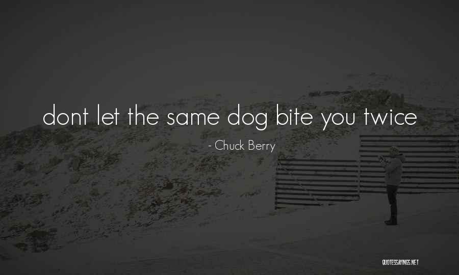 Pouncing Lion Quotes By Chuck Berry