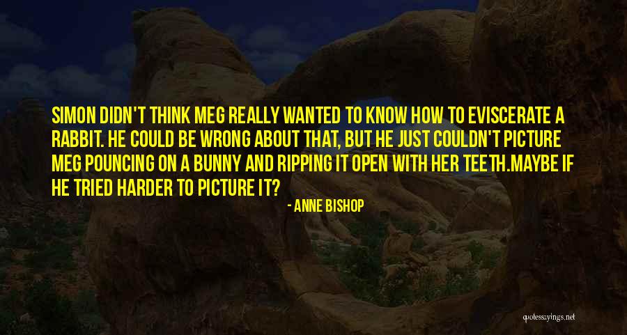 Pouncing Quotes By Anne Bishop