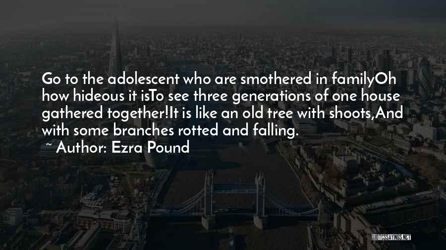 Pound House Quotes By Ezra Pound