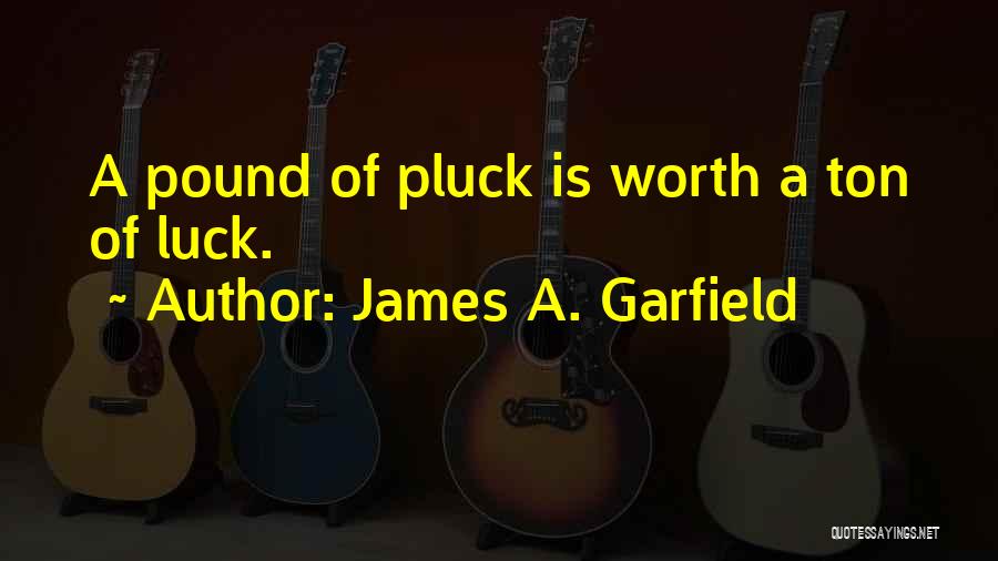 Pound Quotes By James A. Garfield