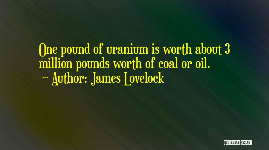 Pound Quotes By James Lovelock