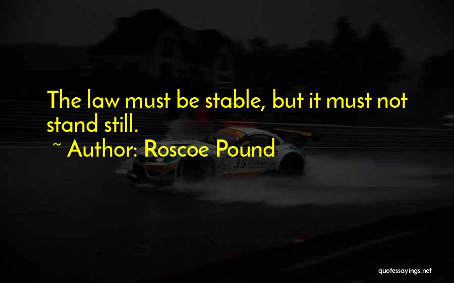 Pound Quotes By Roscoe Pound