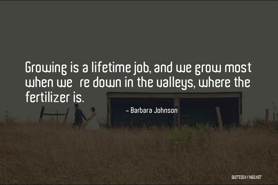 Poupard Rentals Quotes By Barbara Johnson Poupard Rentals Quotes By Barbara Johnson