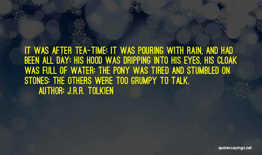 Pouring Rain Quotes By J.R.R. Tolkien