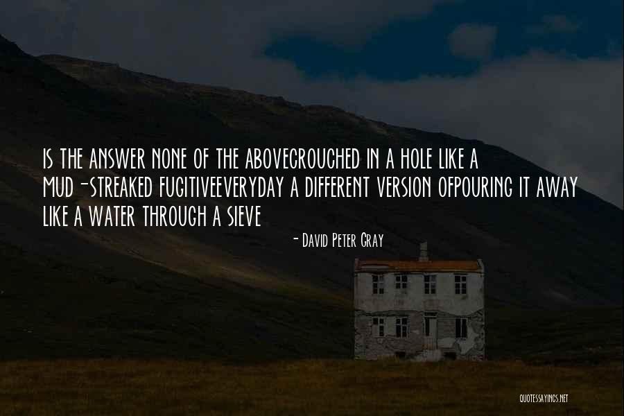 Pouring Water Quotes By David Peter Gray