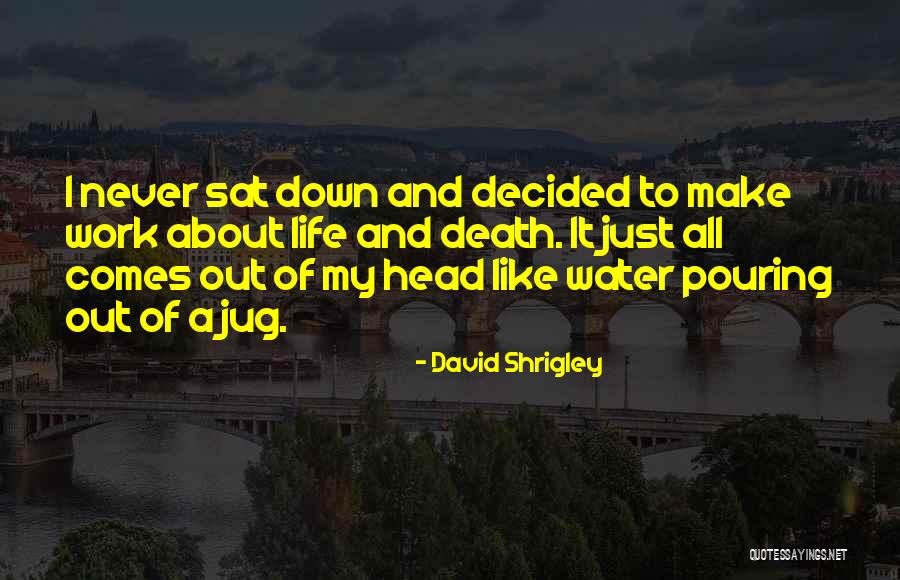 Pouring Water Quotes By David Shrigley