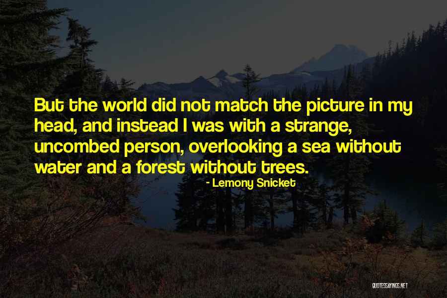 Pourpre Couleur Quotes By Lemony Snicket Pourpre Couleur Quotes By Lemony Snicket