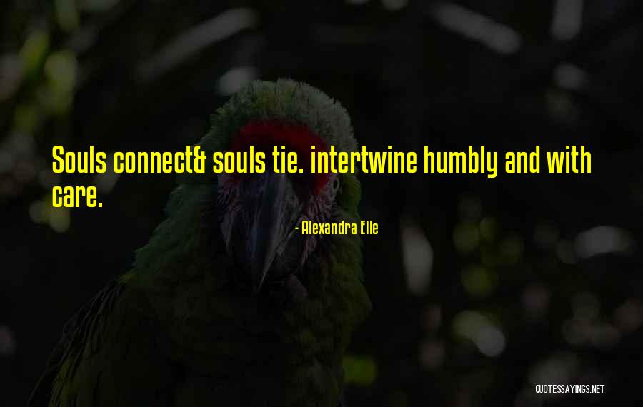 Poussaint Primary Quotes By Alexandra Elle Poussaint Primary Quotes By Alexandra Elle