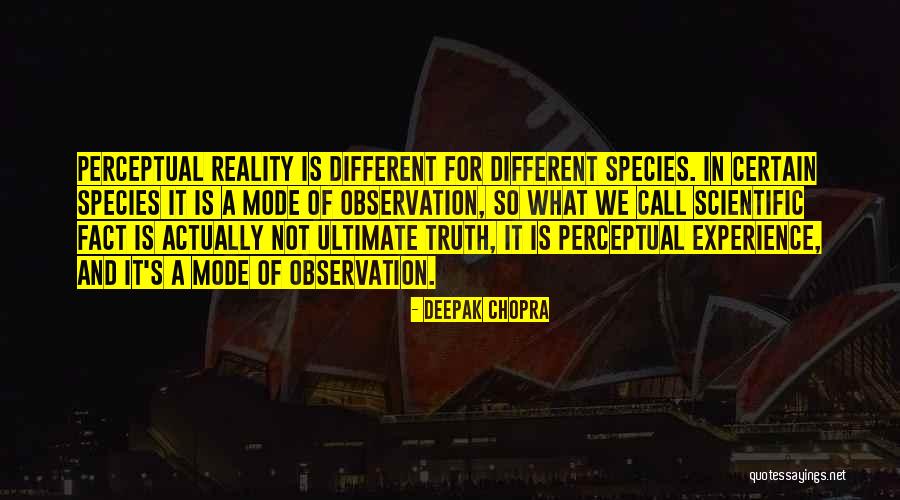 Poussin Artist Quotes By Deepak Chopra
