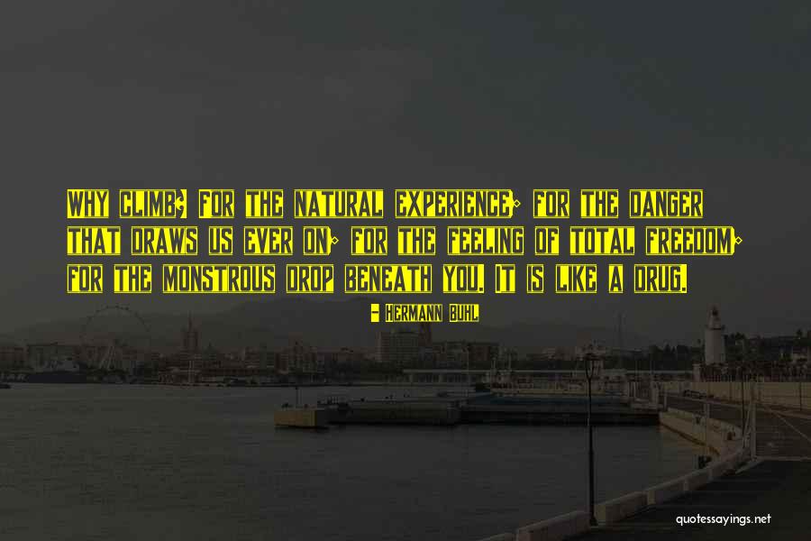Povara Dex Quotes By Hermann Buhl Povara Dex Quotes By Hermann Buhl