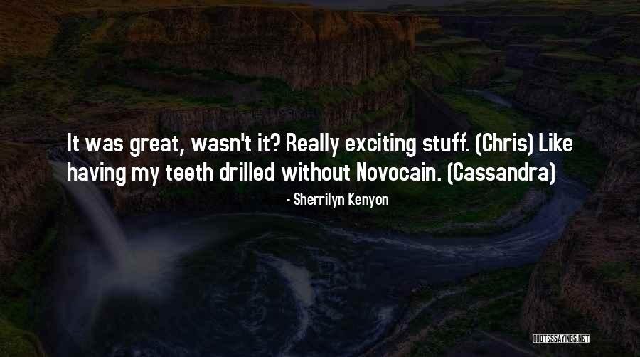 Povarenok Quotes By Sherrilyn Kenyon Povarenok Quotes By Sherrilyn Kenyon