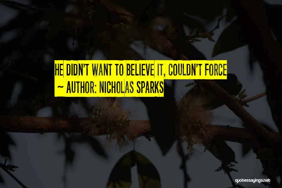 Povero Ernesto Quotes By Nicholas Sparks