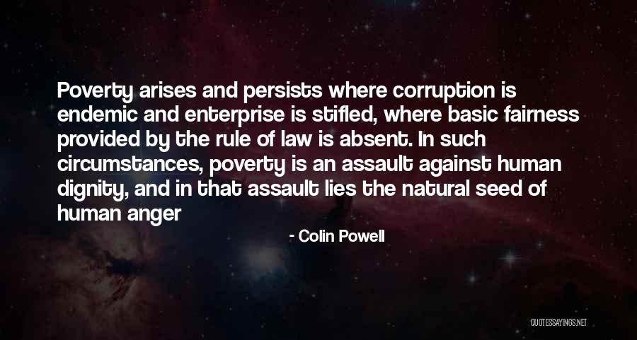 Poverty And Dignity Quotes By Colin Powell