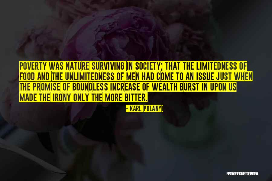 Poverty And Society Quotes By Karl Polanyi