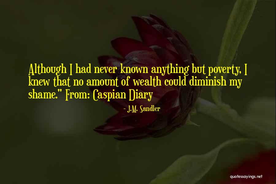 Poverty Quotes By J.M. Sandler Poverty Quotes By J.M. Sandler