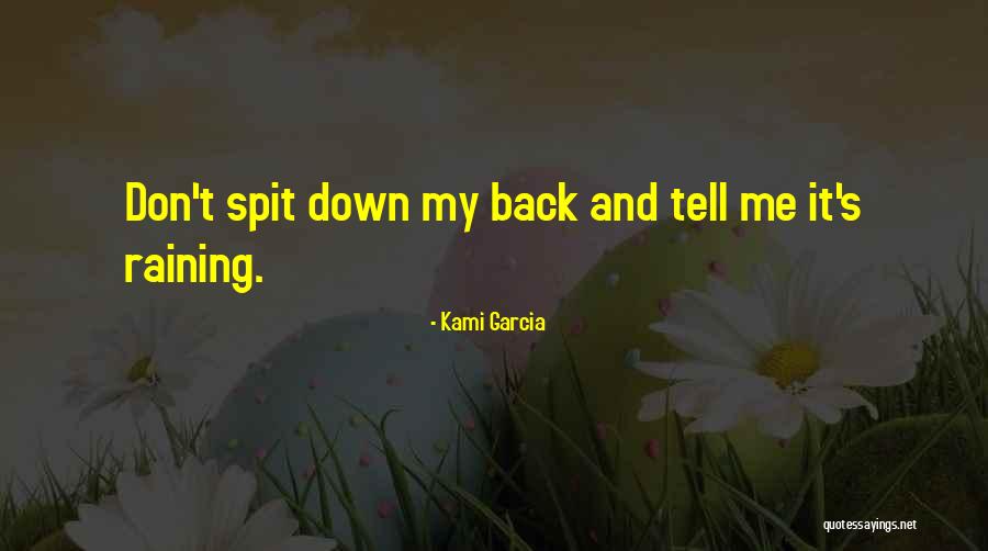 Povertys Pets Quotes By Kami Garcia Povertys Pets Quotes By Kami Garcia