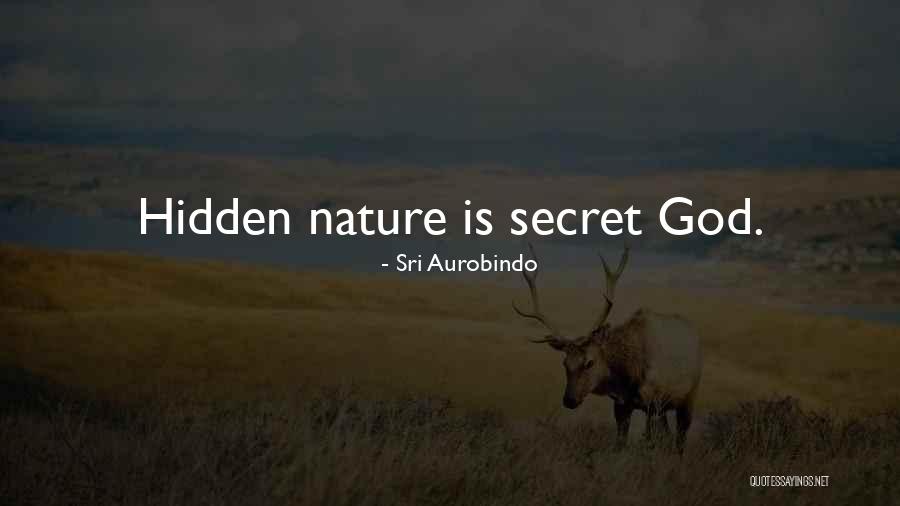 Povijest Hrvatske Quotes By Sri Aurobindo Povijest Hrvatske Quotes By Sri Aurobindo
