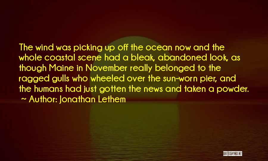 Powder Quotes By Jonathan Lethem