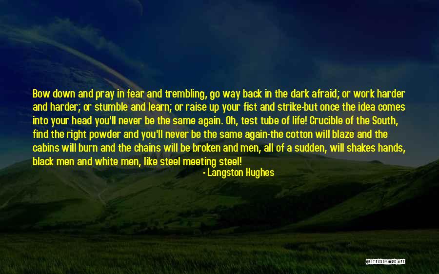 Powder Quotes By Langston Hughes