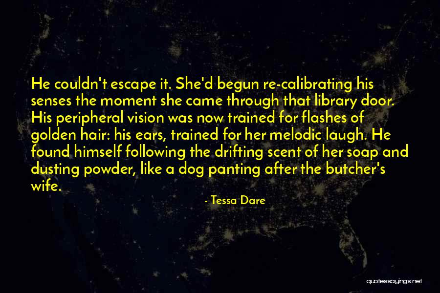 Powder Quotes By Tessa Dare