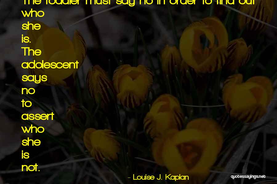 Powdermaker Foundation Quotes By Louise J. Kaplan Powdermaker Foundation Quotes By Louise J. Kaplan