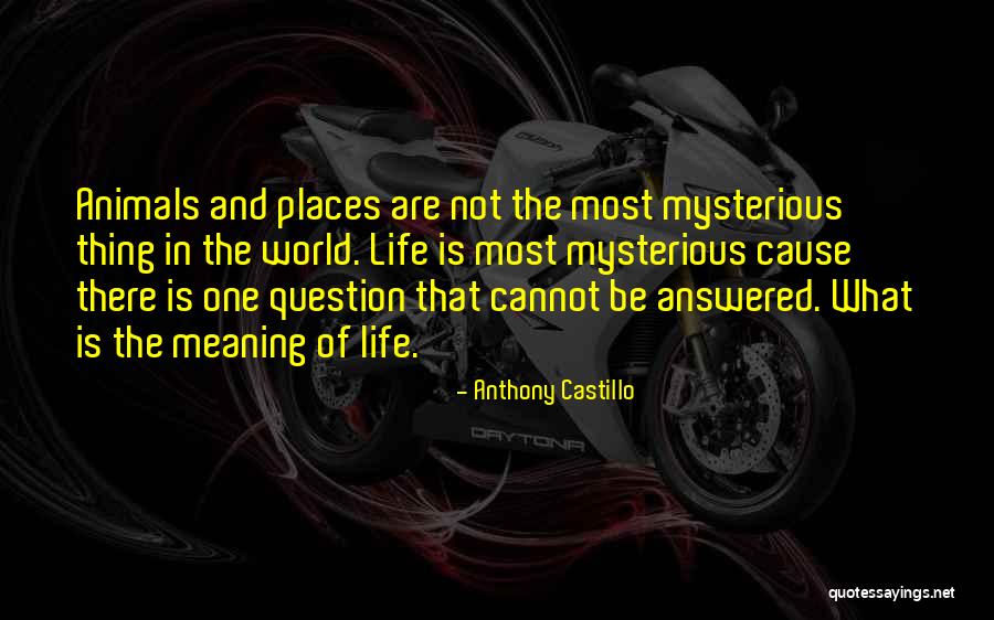 Powdermaker Indianola Quotes By Anthony Castillo Powdermaker Indianola Quotes By Anthony Castillo