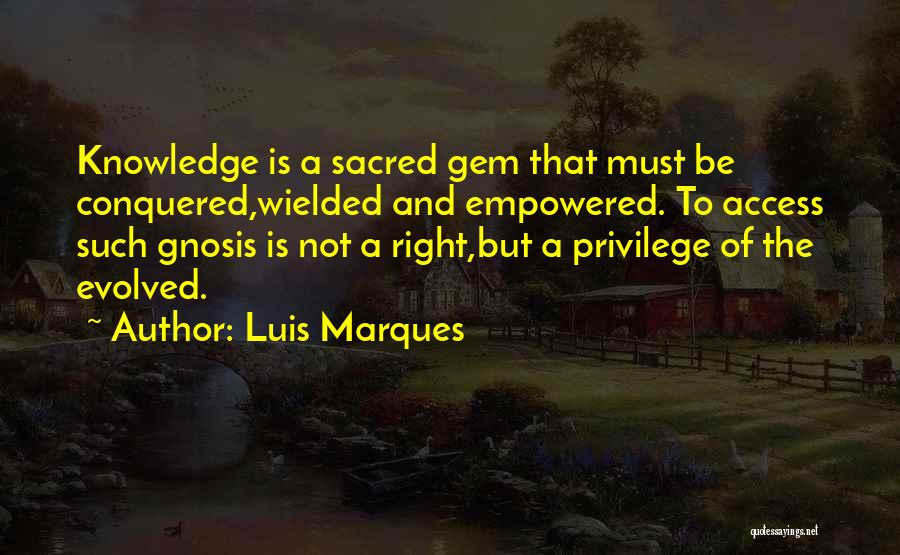 Power And Privilege Quotes By Luis Marques